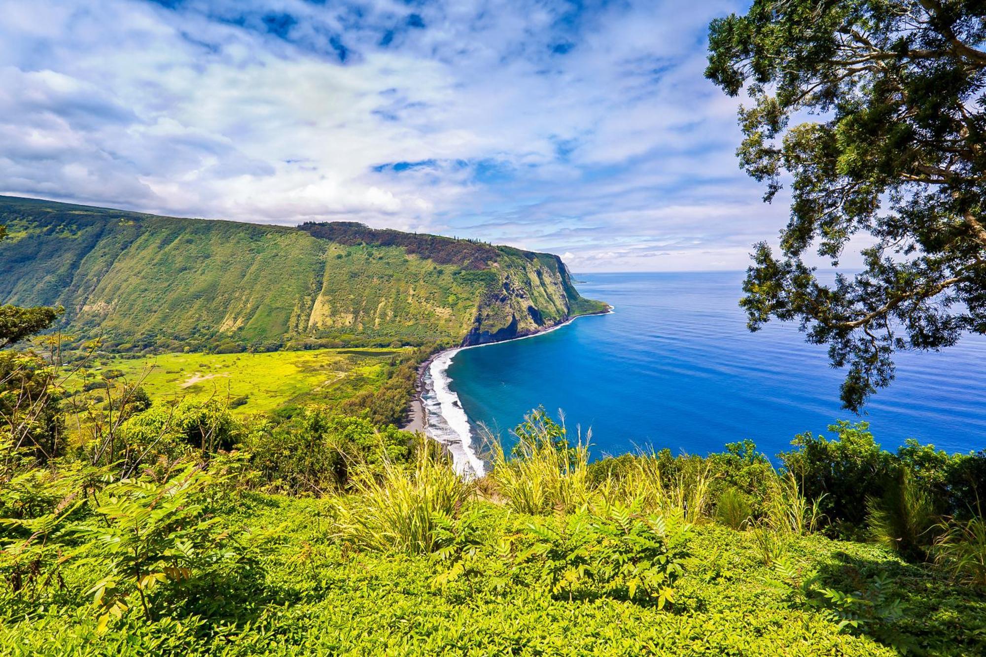 Kona Bali Kai #152 Lejlighed Kailua-Kona Eksteriør billede