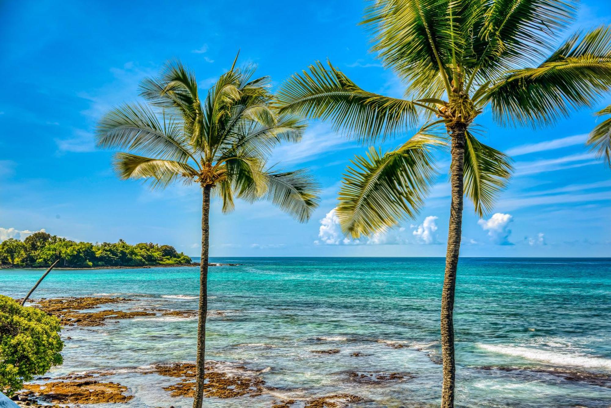 Kona Bali Kai #152 Lejlighed Kailua-Kona Eksteriør billede